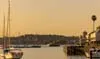 Pienza Neutral Bay